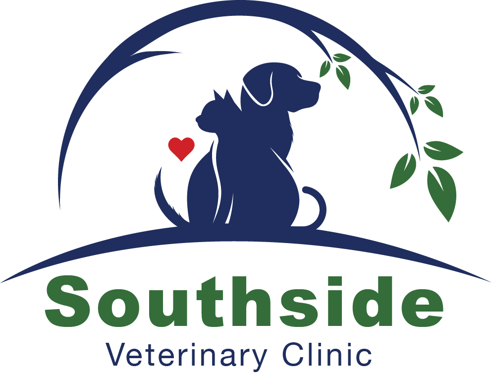 Southside Veterinary Clinic